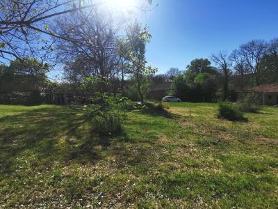 Annonce Vente Terrain Salvetat-saint-gilles 31