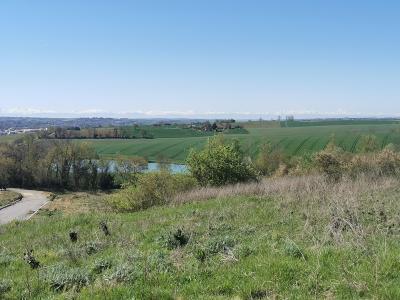 Annonce Vente Terrain Bellegarde-sainte-marie 31