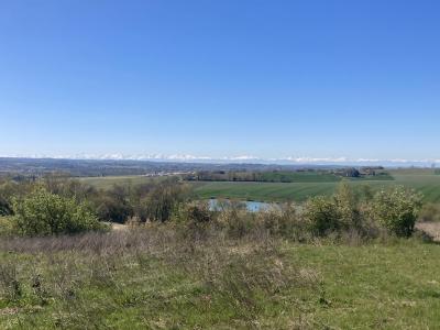 Acheter Terrain Bellegarde-sainte-marie Haute garonne