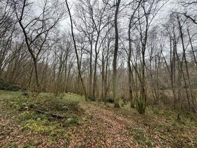 For sale Escalans 32767 m2 Landes (40310) photo 1
