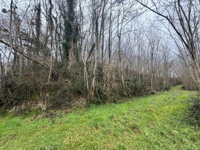 For sale Escalans 32767 m2 Landes (40310) photo 2
