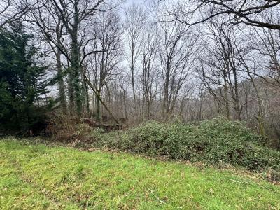 For sale Escalans 32767 m2 Landes (40310) photo 3