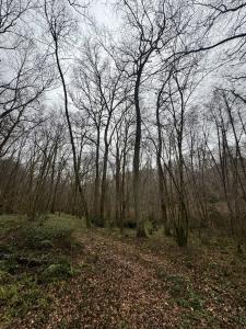 For sale Escalans 32767 m2 Landes (40310) photo 4
