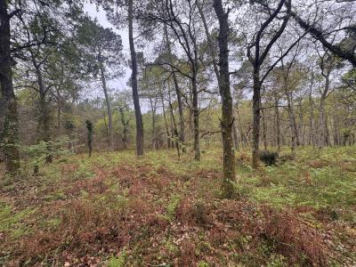 Annonce Vente Terrain Barbaste 47