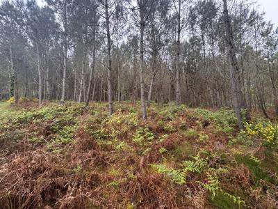Acheter Terrain Barbaste Lot et garonne
