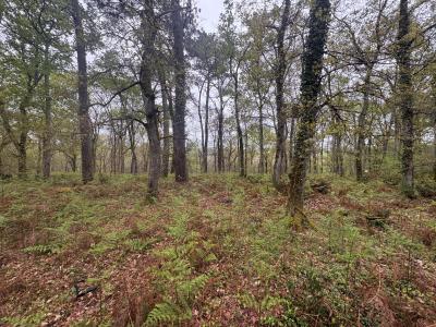 Acheter Terrain Barbaste 48400 euros