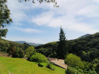 Acheter Maison Saint-gervais-sur-mare Herault