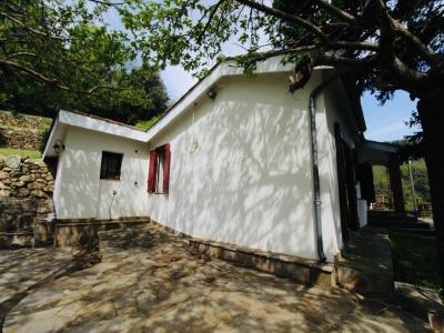 Acheter Maison Saint-gervais-sur-mare 210000 euros