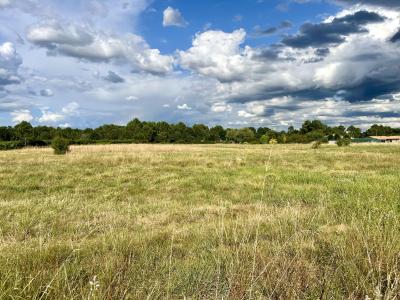 Annonce Vente Terrain Bazas 33