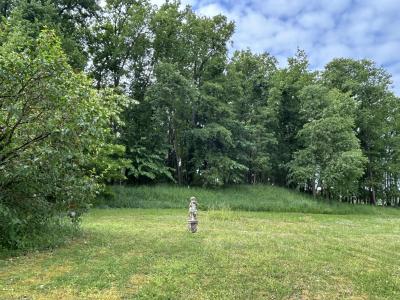 Annonce Vente 10 pices Maison Ballan-mire 37