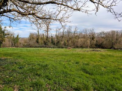 Annonce Vente 5 pices Maison Bagas 33