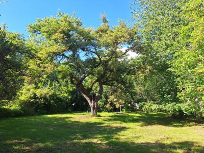 For sale Chabournay SAINT-MARTIN-LA-PALLU 6 rooms 189 m2 Vienne (86380) photo 3