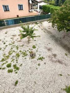 For sale Beziers 6 rooms 130 m2 Herault (34500) photo 3