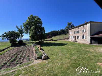 Acheter Maison 400 m2 Roanne
