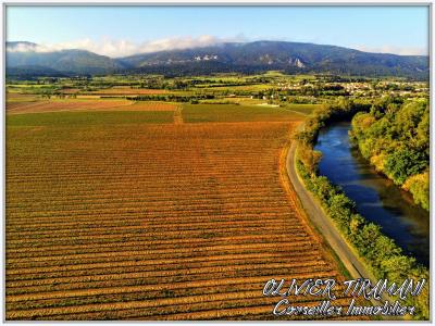 For sale Capendu 270 m2 Aude (11700) photo 0