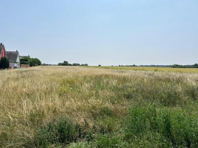 Annonce Vente Terrain Neuf-brisach 68
