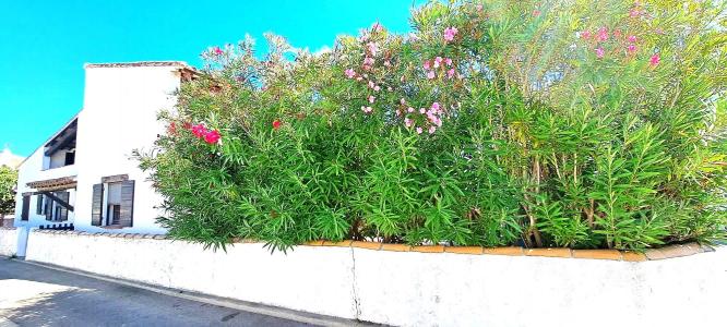 Annonce Vente Maison Saintes-maries-de-la-mer 13