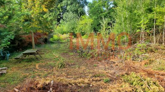 Annonce Vente Terrain Augerville-la-riviere 45