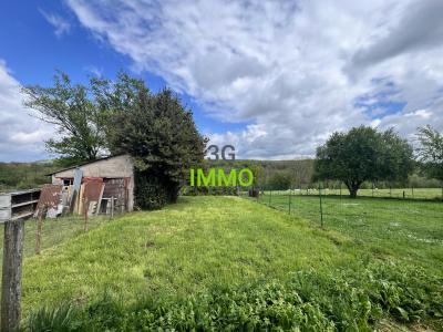 Annonce Vente 3 pices Maison Celle-sur-nievre 58