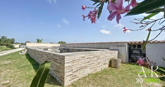 Annonce Vente 13 pices Maison Saintes-maries-de-la-mer 13