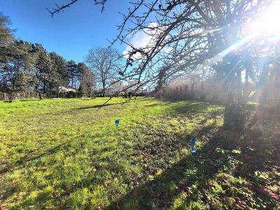 Annonce Vente Terrain Montanay 69