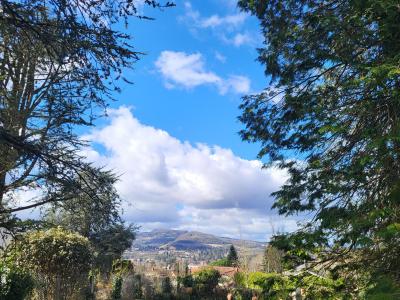 Acheter Terrain Montanay Rhone