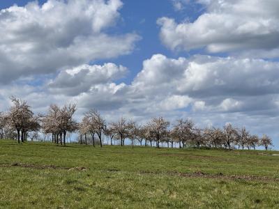 Annonce Vente Terrain Cambremer 14