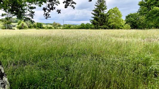 Acheter Terrain Sauveterre-de-bearn