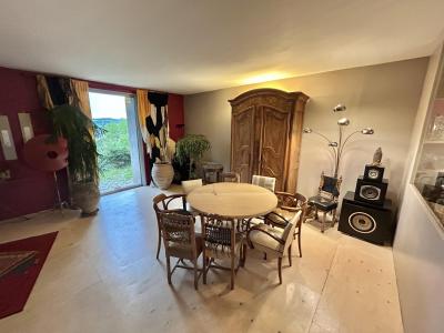 Acheter Maison 275 m2 Roche-la-moliere