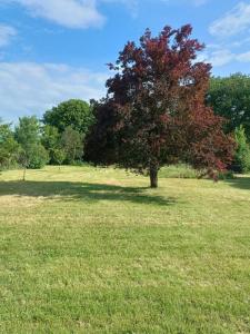 Annonce Vente 5 pices Maison Ciron 36