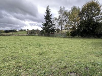 For sale Rozier-cotes-d'aurec Loire (42380) photo 1