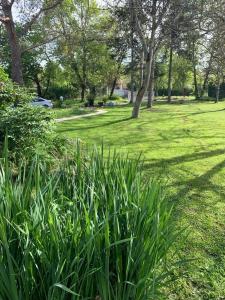For sale Calignac NARAC 6 rooms 185 m2 Lot et garonne (47600) photo 4