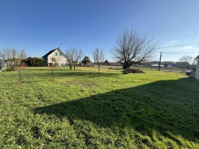Annonce Vente Terrain Saint-maurice-sur-fessard 45