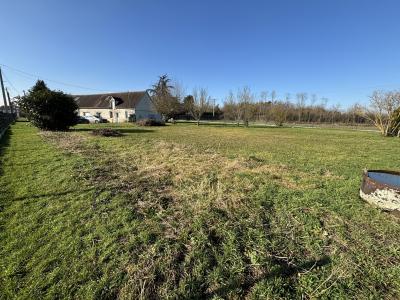 Acheter Terrain 990 m2 Saint-maurice-sur-fessard