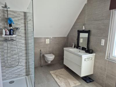 Acheter Maison Pfastatt 299500 euros