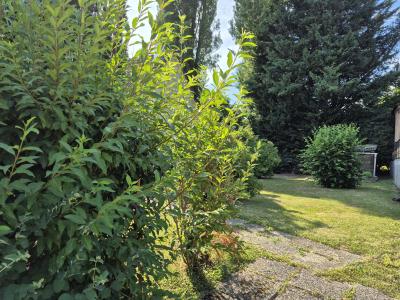 For sale Hirsingue 5 rooms 94 m2 Haut rhin (68560) photo 3