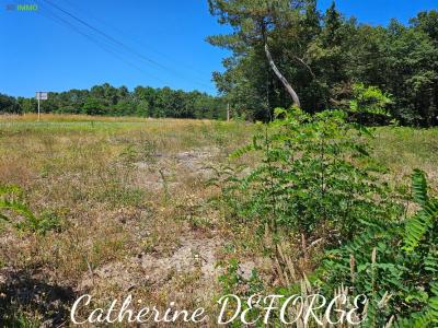 For sale Civrac-de-blaye Gironde (33920) photo 0