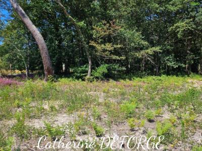 For sale Civrac-de-blaye Gironde (33920) photo 1