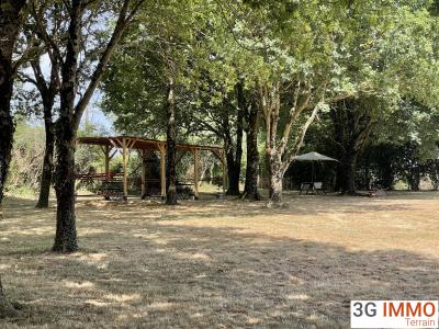 Annonce Vente Terrain Pineaux 85