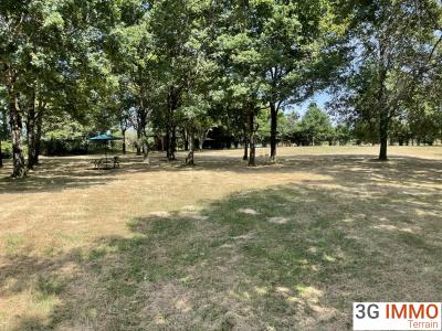 Acheter Terrain Pineaux