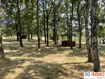 Acheter Terrain Pineaux 127000 euros