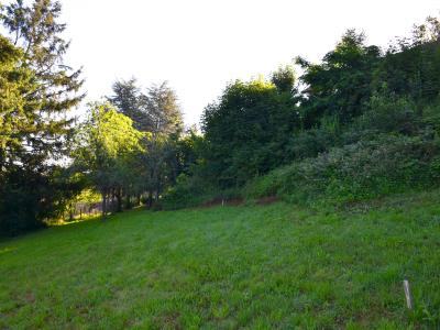 For sale Saint-heand Loire (42570) photo 2