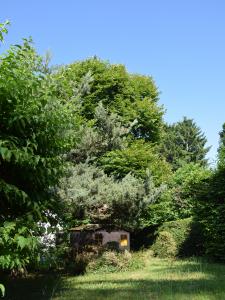 For sale Saint-heand 13 rooms 308 m2 Loire (42570) photo 3