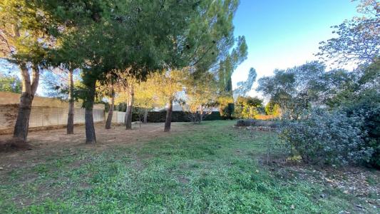 Acheter Terrain 1000 m2 Abeilhan