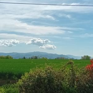 For sale Chatillon-la-palud Ain (01320) photo 2