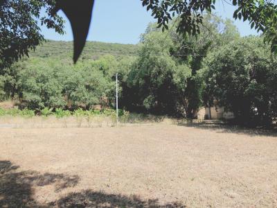 Annonce Vente Terrain Cessenon-sur-orb 34