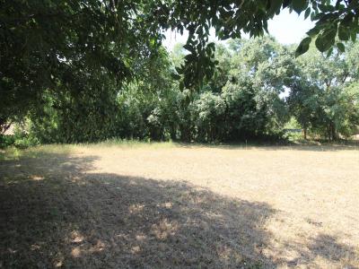 Acheter Terrain Cessenon-sur-orb