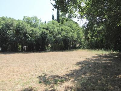 Acheter Terrain Cessenon-sur-orb 120000 euros