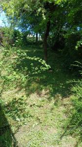 For sale Lacaune 4 rooms 90 m2 Tarn (81230) photo 3