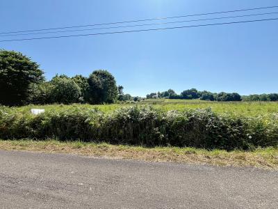 Acheter Terrain Lahourcade 137000 euros